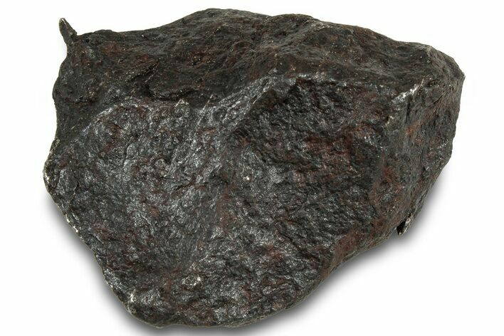 Canyon Diablo Iron Meteorite ( g) - Arizona #319621